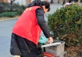 擦亮志愿服務(wù)金名片，撬動(dòng)垃圾分類新格局